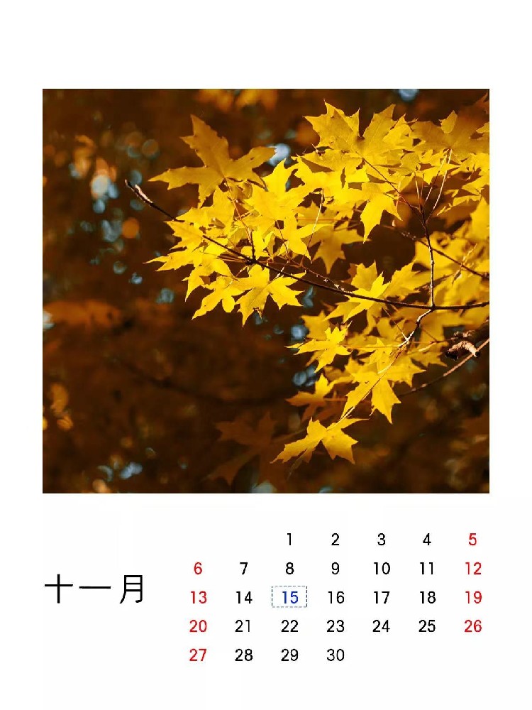 微信图片_20221114150520.jpg